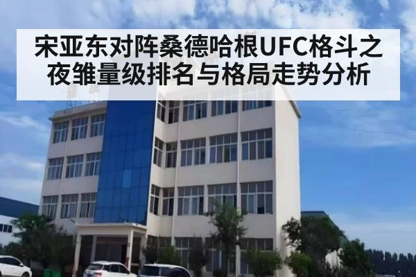 宋亚东对阵桑德哈根UFC格斗之夜雏量级排名与格局走势分析